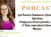 14:Are Bacteria Imbalances Chronic Infections Linked Most Illnesses?