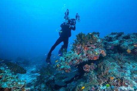 This is why you should visit Australia’s Great Barrier Reef