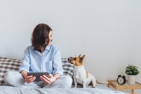 5 Tips for Taking Care of a Dog in a Small Apartment