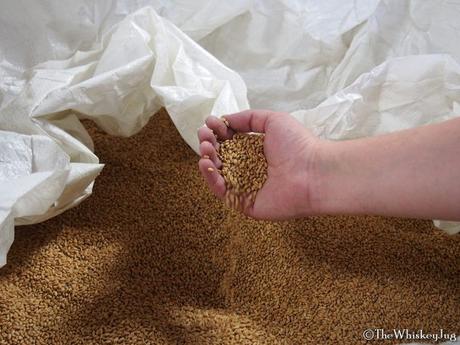 Sacks of grain at the Balcones Distillery