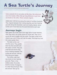 A SEA TURTLE'S JOURNEY in the May Issue of BLAST OFF (The School Magazine, Australia)