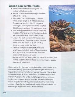 A SEA TURTLE'S JOURNEY in the May Issue of BLAST OFF (The School Magazine, Australia)