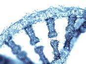 Study: Gene Helped Humans Adapt Higher-carb World Don’t Have