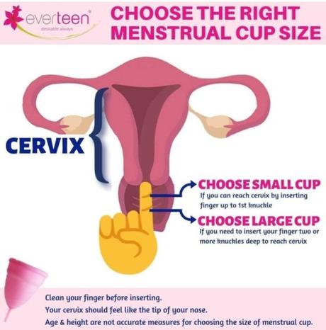 Menstrual Cups – A perfect “Period Partner”