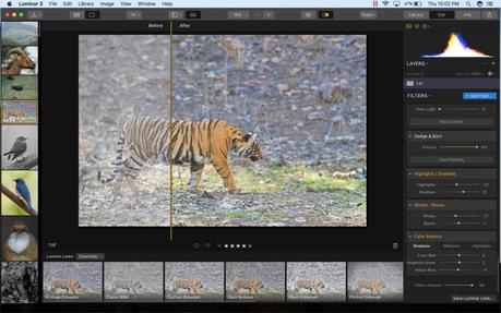 Luminar 3 Review- Is it a Good Lightroom Alternative?