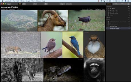 Luminar 3.1.1 Library View