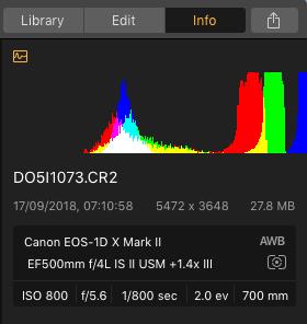 Luminar 3 Photo EXIF Viewer