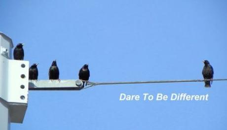 13 Things Everyone Should Know Before Building Their Mobile App