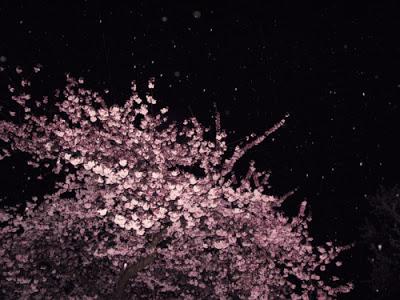 random mixtape - oh are you scared of me, old man? random mixtape - oh are you scared of me, old man?