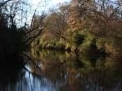 POEM: Momentary Stillness