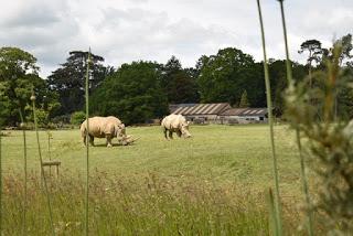 The Cotswold Wildlife Park - great gardens, amazing animals and a super new book