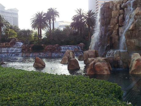 Secret Garden in Vegas