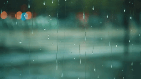 …let the rain fall down