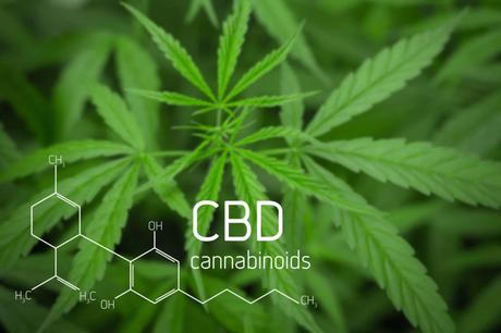 Tapping Into The Surge In Popularity Of CBD Products