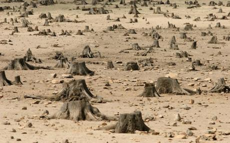 Increasing human population density drives environmental degradation in Africa