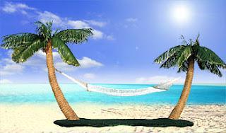 Book Chat: 5 Desert Island Books!