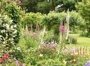 National Garden Scheme Tree House, South Kilworth, Leics