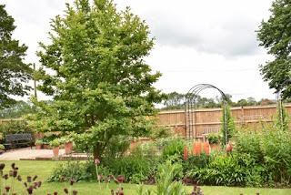 National Garden Scheme garden - Oak Tree House, South Kilworth, Leics