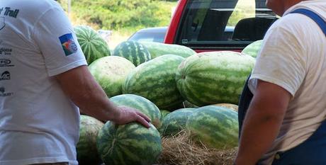 Good fruit (Not what you think)