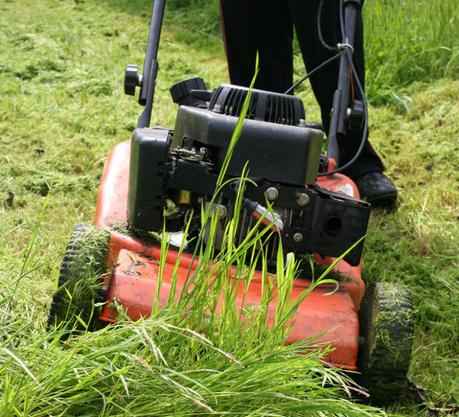 Electric Vs Gas Lawn Mower – Which Is Best?