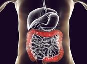 Ayurvedic Medicines Ulcerative Colitis Treatment