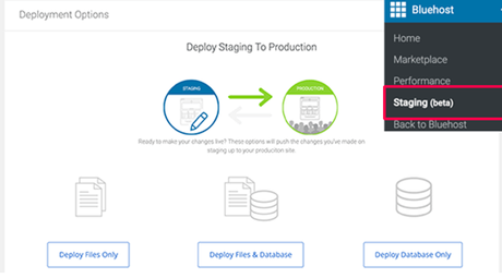 3 Ways To Create A WordPress Staging Website