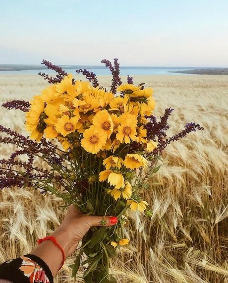 Pick the perfect flower for your partner