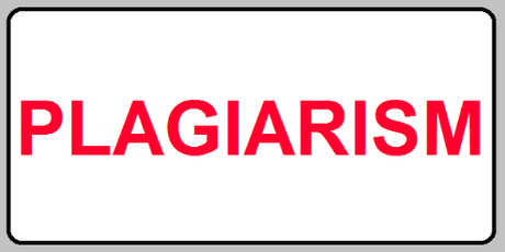 What Is an Essay Writer?