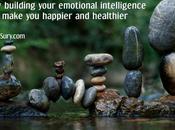 Building Your Emotional Intelligence Make Happier Healthier