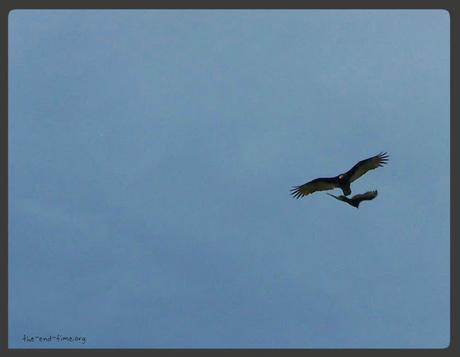 Learning when to stay in and when to separate out