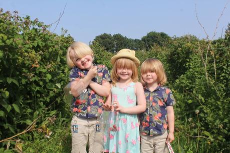 Me & Mine in June: Raspberry Picking & Finding Calm In The Chaos