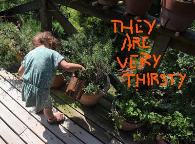 Josie Works and PLays