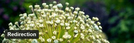 20 Fruitful Premium Plugins for WordPress Redirection