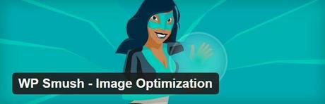 20 Fruitful Premium Plugins for WordPress WP Smush, Premium WordPress Plugins