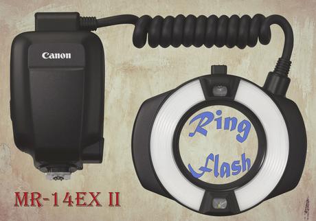 Canon macro ring flash MR-14EX II – product review