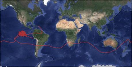 Loon’s balloon breaks flight record with 223 continuous day in air