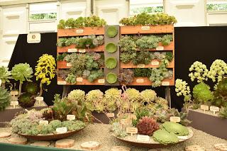 RHS Hampton Court Flower Show 2019