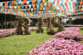 RHS Hampton Court Flower Show 2019