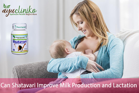 Can Shatavari Improve Milk Production and Lactation?
