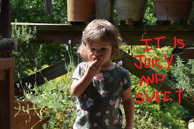 A Hot Day with Josie