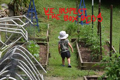 A Hot Day with Josie