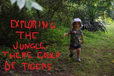 A Hot Day with Josie