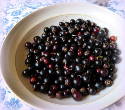 Black Currants