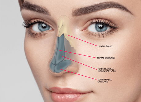 How Ethnic Rhinoplasty Can Benefit You