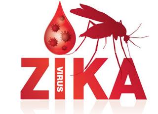 Zika virus • Virus • Mosquito • Measles Symptoms treatment