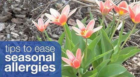 Seasonal allergies: causes, symptoms, and treatment Seasonal allergies: causes, symptoms, and treatment