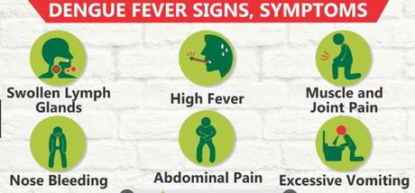 Dengue Fever Causes, Prevention, Symptoms Dengue Fever Causes, Prevention, Symptoms