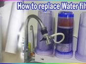 Replace Your Stages Alkaline Water Filter Home?