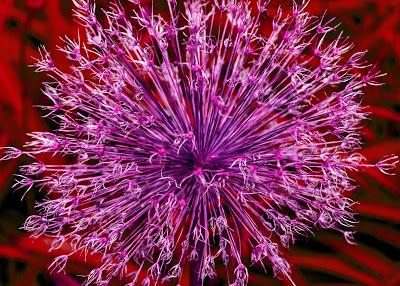 A little RGB, spikey