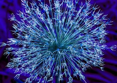 A little RGB, spikey